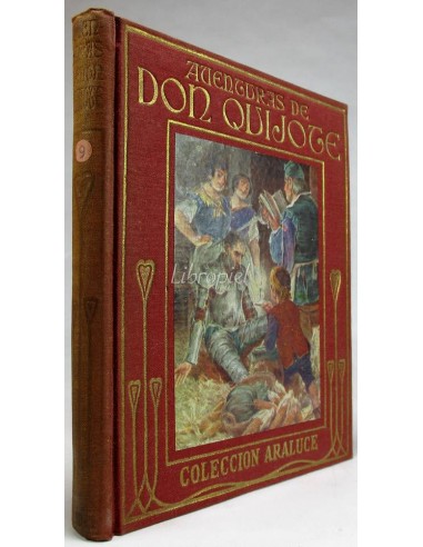 Aventuras de Don Quijote I