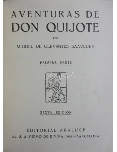 Aventuras de Don Quijote I