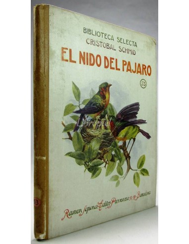 El nido del pájaro